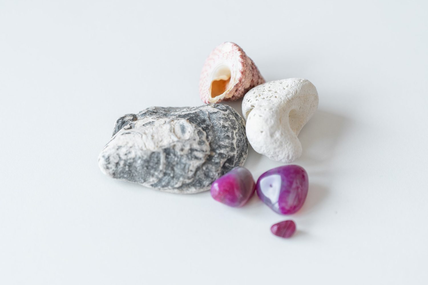 Steine, Muscheln und Korallen auf weißem Grund